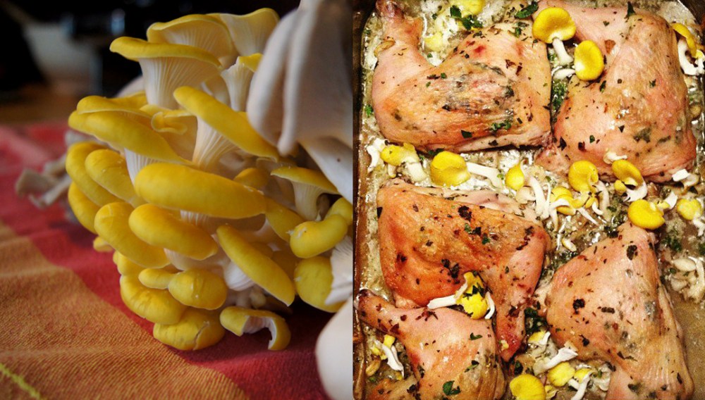 Mushrooms and chicken