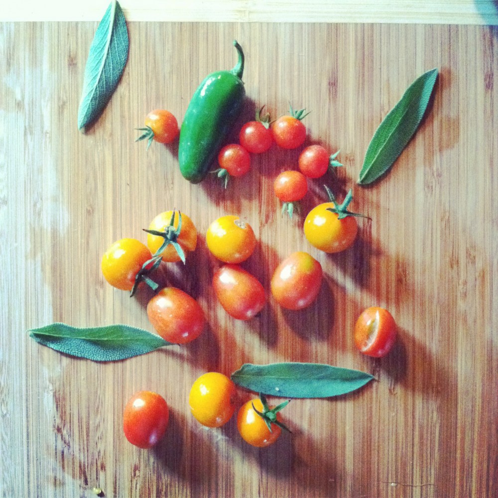 cherry tomatoes, jalapenos, and sage