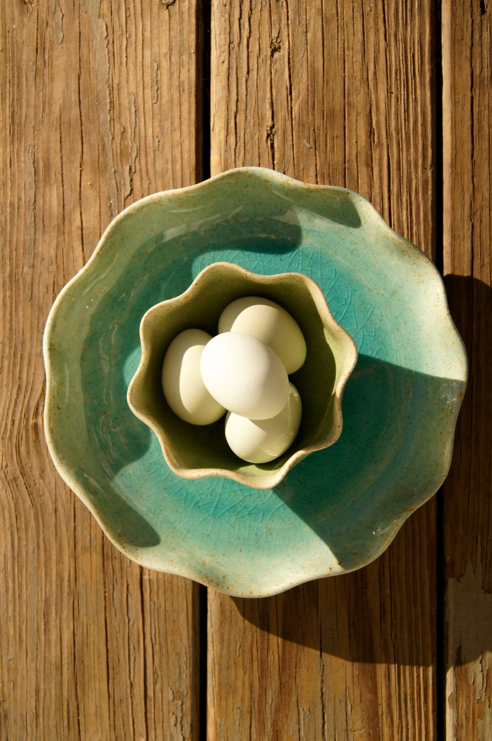 Ameraucana blue heirloom eggs