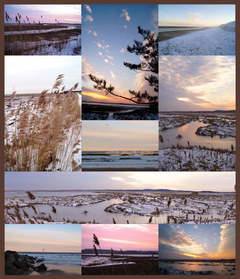 Winter beach collage