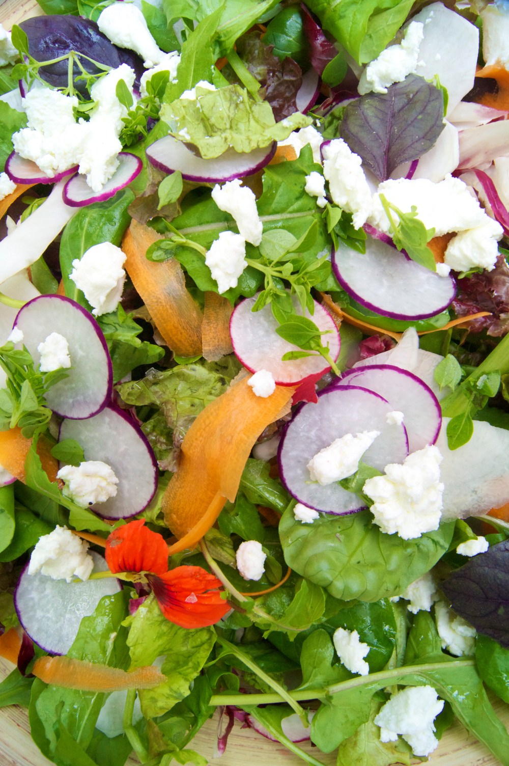 Canaan Farm lettuces with spring roots and Valley View Farm chèvre 