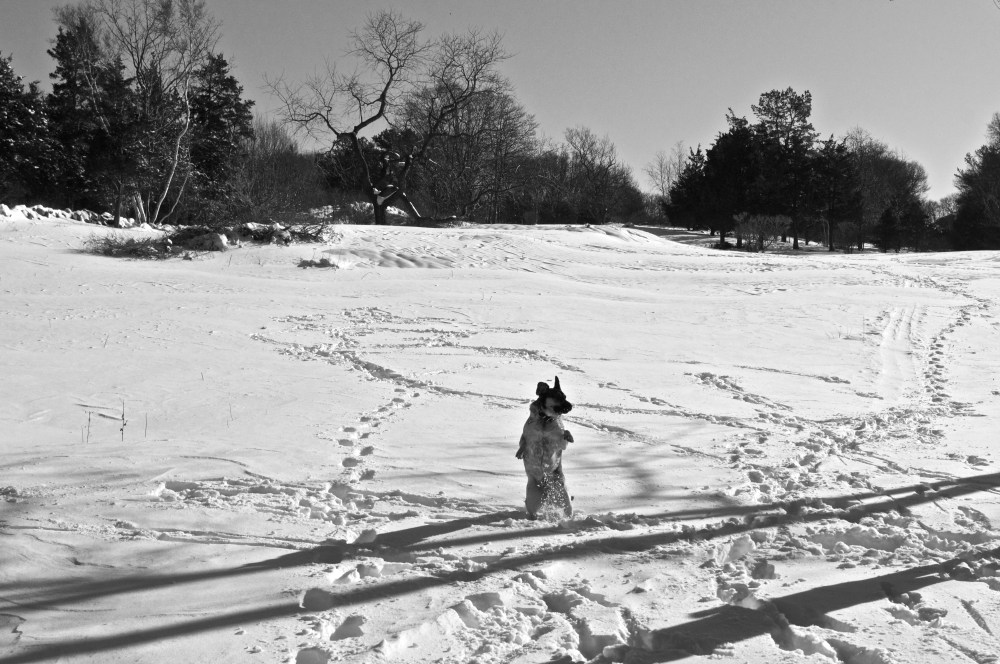 excited about the snow