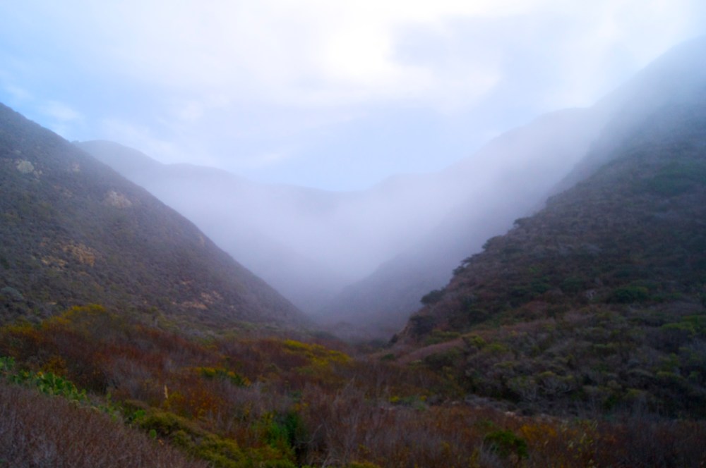 Garrapata State Park