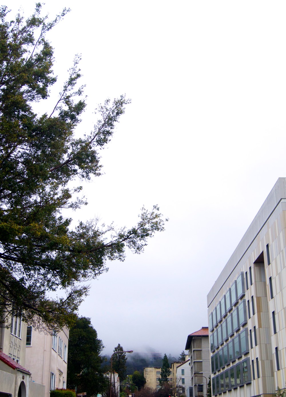 sometimes in rains in Berkeley.