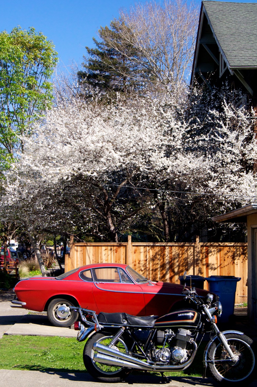 springtime in berkeley