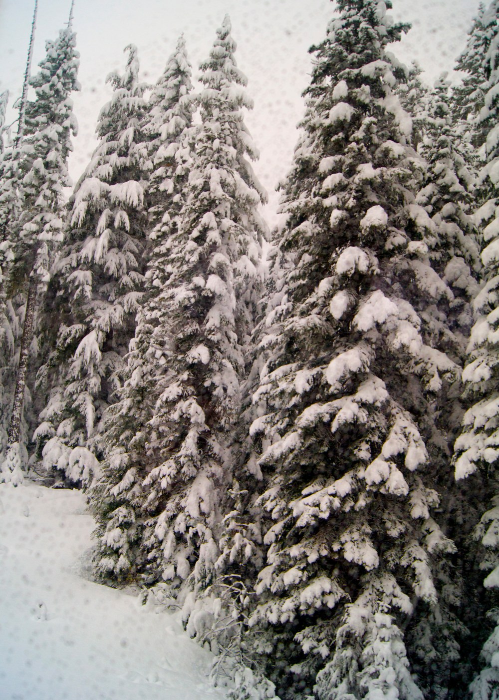 Train ride through Narnia