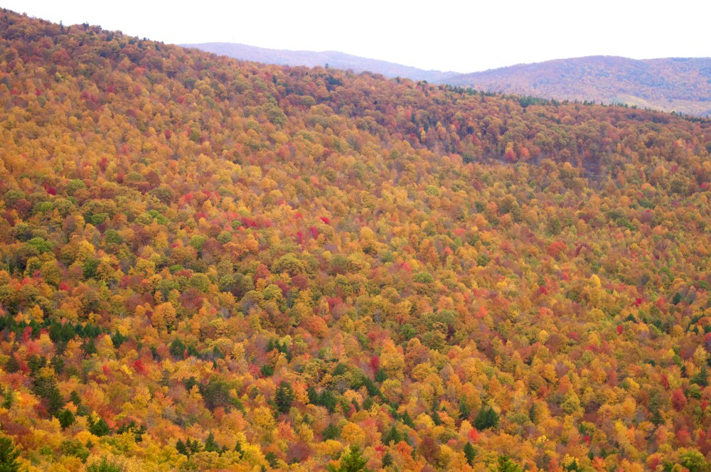 Autumn in full swing!