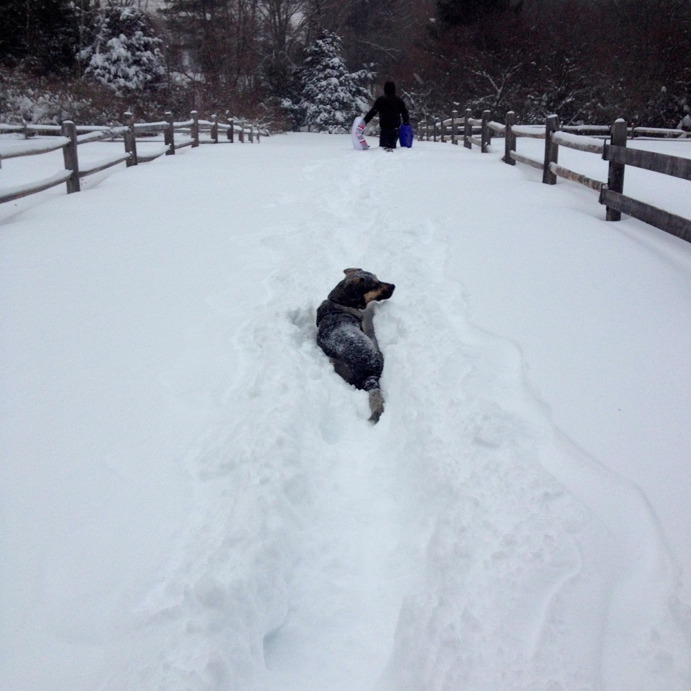 trudging through the snow