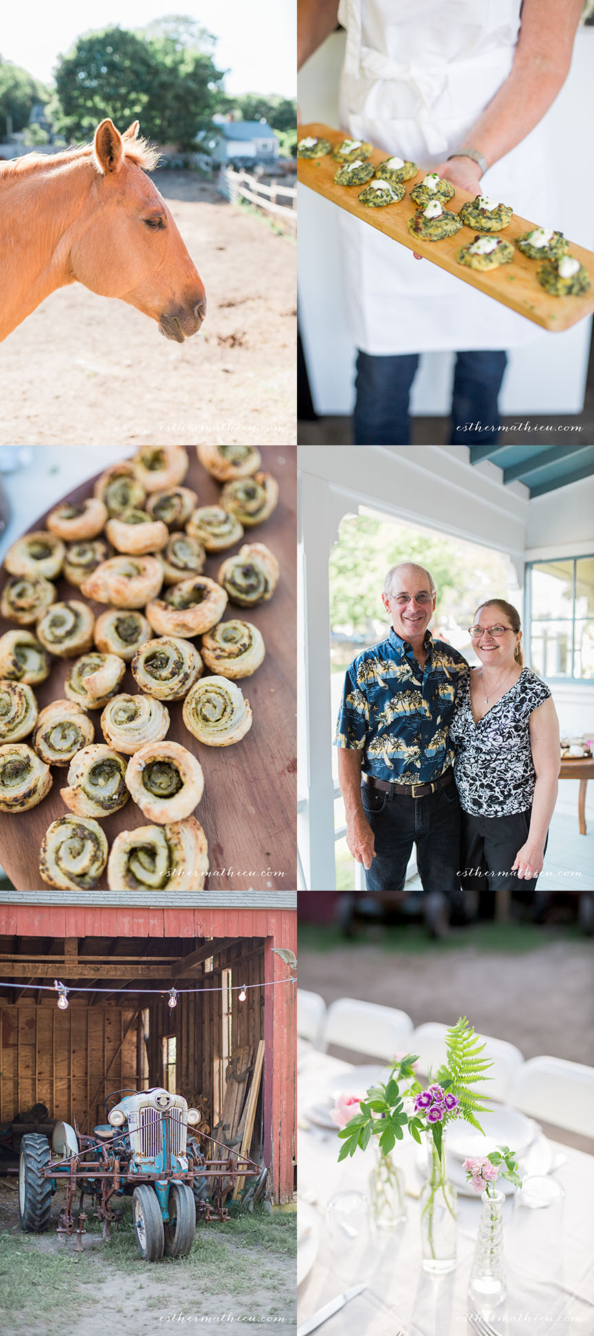 cocktail hour collage